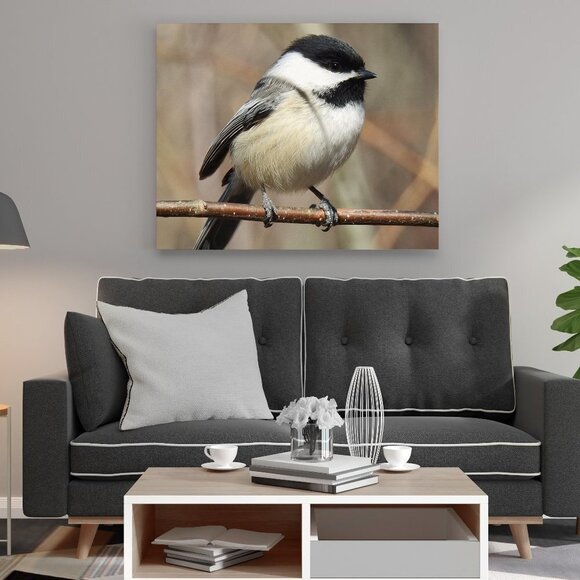 20x30 Black-capped Chickadee Cute‎ Fluffy Bird Oil Painting Art Poster - Picture 2 of 3